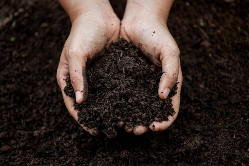 How to sterilize garden soil for young plants and seedlings at home.